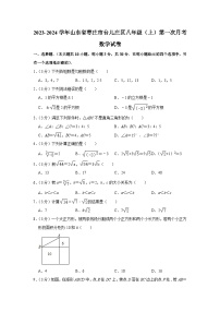 2023-2024学年山东省枣庄市台儿庄区八年级（上）第一次月考数学试卷