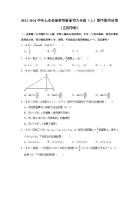 2023-2024学年山东省泰安市新泰市九年级（上）期中数学试卷（五四学制）