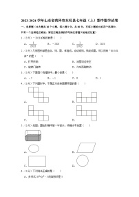 2023-2024学年山东省菏泽市东明县七年级（上）期中数学试卷