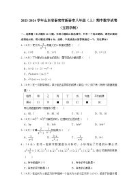 2023-2024学年山东省泰安市新泰市八年级（上）期中数学试卷（五四学制）