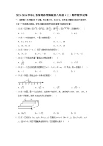 2023-2024学年山东省菏泽市鄄城县八年级（上）期中数学试卷