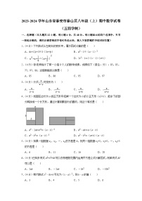 2023-2024学年山东省泰安市泰山区八年级（上）期中数学试卷（五四学制）