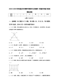 2024-2025学年重庆市巴蜀中学数学九年级第一学期开学复习检测模拟试题【含答案】