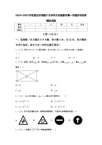 2024-2025学年重庆市涪陵十九中学九年级数学第一学期开学统考模拟试题【含答案】