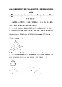 2024年安徽省阜阳市郁文中学九年级数学第一学期开学达标检测模拟试题【含答案】