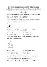 2024年安徽省桐城实验中学九年级数学第一学期开学经典试题【含答案】