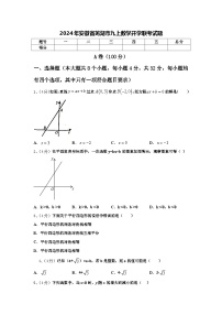 2024年安徽省芜湖市九上数学开学联考试题【含答案】