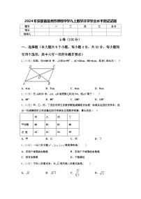 2024年安徽省宿州市鹏程中学九上数学开学学业水平测试试题【含答案】