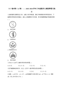 第13章 轴对称 八年级数学人教版寒假巧练习A卷(含答案)）