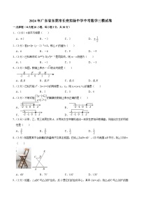 广东省东莞市长安实验中学2024届九年级下学期中考三模数学试卷(含答案)