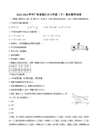 广东省湛江市2023-2024学年七年级下学期期末考试数学试卷(含答案)