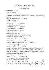 河南省洛阳市2023-2024学年七年级上学期期中考试数学试卷(含答案)