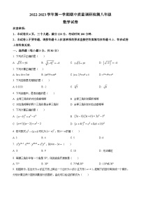 河南省洛阳市伊川县2022-2023学年八上期中数学试卷(华师版、含解析)