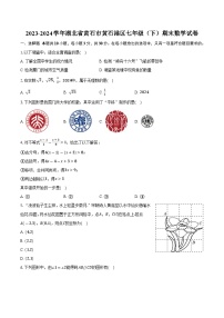 湖北省黄石市黄石港区2023-2024学年七年级下学期期末质量检测数学试卷(含答案)