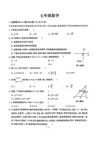 湖北省武汉市江岸区2023-2024学年七年级下学期期末考试数学试卷(含答案)