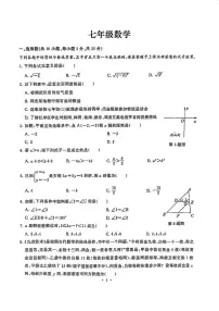 湖北省武汉市江岸区2023-2024学年七年级下学期期末考试数学试卷(含答案)