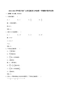 四川省广元市苍溪县2023-2024学年七年级上学期期中考试数学试卷(含解析)