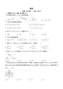 湖南省岳阳市第七中学2023-2024学年七年级下学期期中数学试题