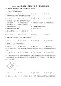 广东省东莞市石排中学2024-2025学年九年级上学期月考数学试题(无答案)