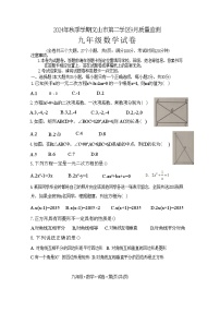 云南省文山壮族苗族自治州文山市第三中学2024-2025学年九年级上学期9月月考数学试题