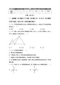 2024年福建泉州安溪恒兴中学九上数学开学教学质量检测模拟试题【含答案】