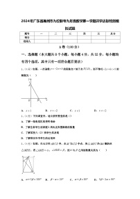 2024年广东省高州市九校联考九年级数学第一学期开学达标检测模拟试题【含答案】