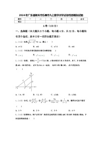 2024年广东省韶关市乐昌市九上数学开学达标检测模拟试题【含答案】