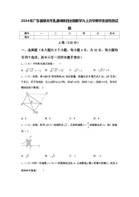 2024年广东省韶关市乳源瑶族自治县数学九上开学教学质量检测试题【含答案】