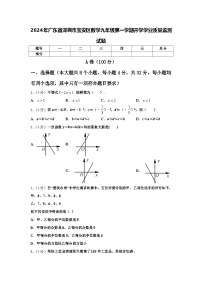 2024年广东省深圳市宝安区数学九年级第一学期开学学业质量监测试题【含答案】