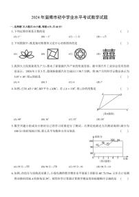 2024年山东省淄博市中考数学试题