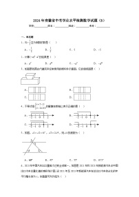 2024年安徽省中考学业水平检测数学试题（B）