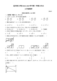 江苏省扬州中学教育集团树人学校2024-2025学年九年级上学期月考数学试题(无答案)