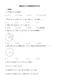 江苏省泰州市姜堰区城西实验学校2024-2025学年九年级上学期月考数学试题(无答案)