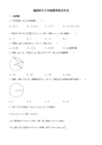 江苏省泰州市姜堰区城西实验学校2024-2025学年九年级上学期月考数学试题(无答案)