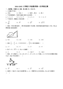 河南省驻马店市驿城区2024~2025学年八年级上学期月考数学试题(无答案)