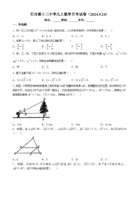 河北省石家庄市第十三中学2024-2025学年九年级上学期九月月考数学试题(无答案)