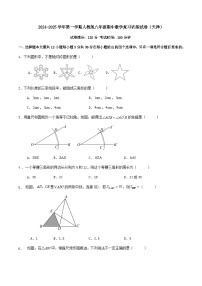 2024-2025学年人教版八年级上册期中数学复习训练试卷（天津）