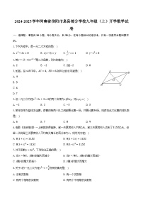 2024-2025学年河南省信阳市息县部分学校九年级（上）开学数学试卷（含解析）