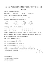 2024-2025学年湖南省衡阳市蒸湘区华新实验中学八年级（上）入学数学试卷（含解析）