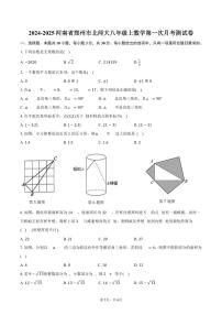 2024-2025河南郑州北师大八年级上数学第一次月考测试卷+答案