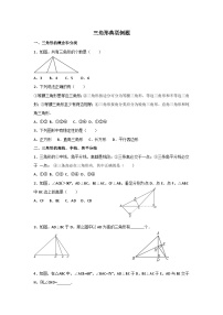 期中复习 八年级数学三角形专项复习 典型例题总结试卷