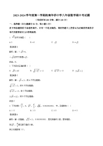 海南省华侨中学2023-2024学年八年级上学期期中考试数学试卷(含解析)