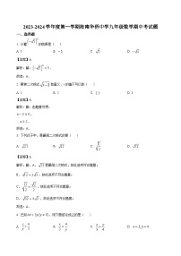 海南省华侨中学2024届九年级上学期期中考试数学试卷(含解析)