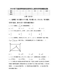 2024年广东省深圳市耀华实验学校九上数学开学检测模拟试题【含答案】