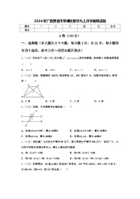 2024年广西贵港市覃塘区数学九上开学调研试题【含答案】