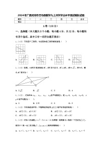 2024年广西河池市巴马县数学九上开学学业水平测试模拟试题【含答案】