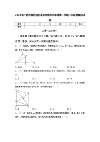 2024年广西壮族自治区来宾市数学九年级第一学期开学监测模拟试题【含答案】