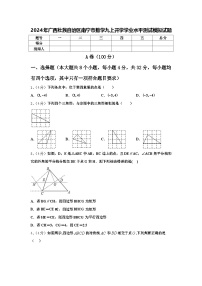 2024年广西壮族自治区南宁市数学九上开学学业水平测试模拟试题【含答案】