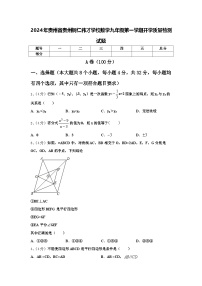 2024年贵州省贵州铜仁伟才学校数学九年级第一学期开学质量检测试题【含答案】