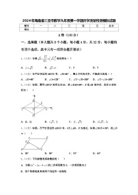 2024年海南省三亚市数学九年级第一学期开学质量检测模拟试题【含答案】